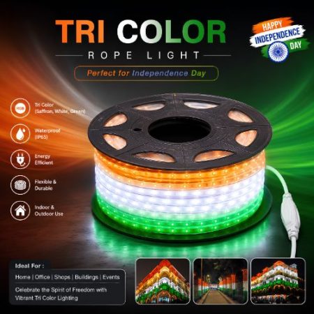 LED rope light for independence day